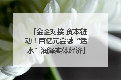 金企对接 资本链动！百亿元金融“活水”润泽实体经济
